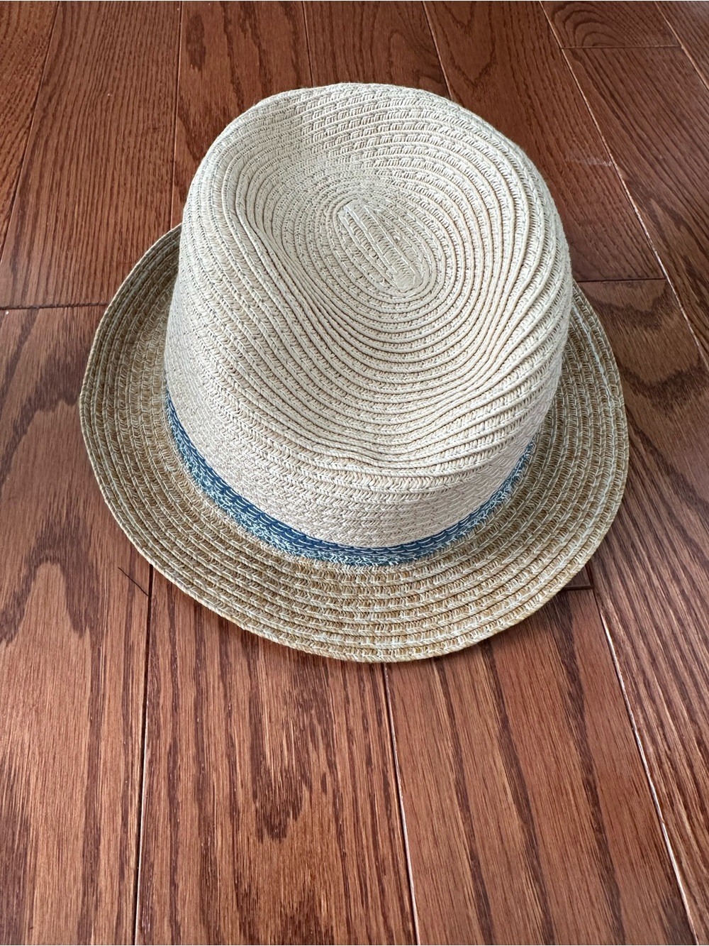 Cat & Toddler Fedora Hat